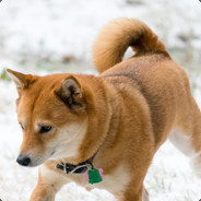 Это Фиаско Братан