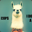 LLAMAWILL69