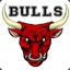 Bulls