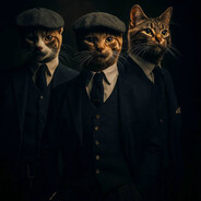 Three cats