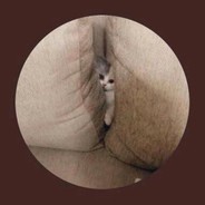 牛牛哥怒杀队友