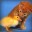 duckiez