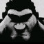 grug 200% locked in