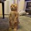Category Meow 5