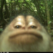 MaliciousMonkey19 avatar