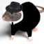 RAT