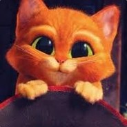 tom_1338