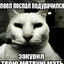 гений