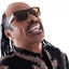 Stevie Wonder