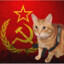 Communist Shinobi Cat