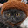 Steam avatar of LinHongJun