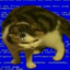 cat404