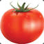 Tomatozz