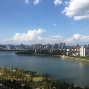 湖南怀化洪江大鸟杨潇