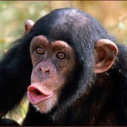 Тот Самый Мартын