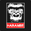 Iron_Harambe