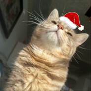 星期天也不睡懒觉