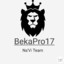 BekaPro17