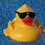 lord_duck