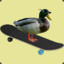 sk8ingDuck