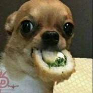 别拆了，你没钳