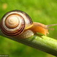 N1c0小阿宝 Devil's