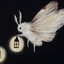 Moth