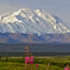 denali