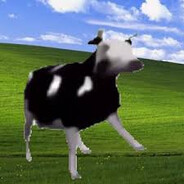 Polish Cow 🐄