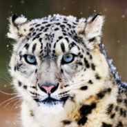 练习时长两年半