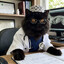 Dr Bass