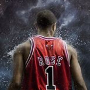 D.rose