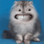 Smile -.-