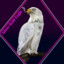 Silver Bald Eagle