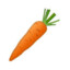 Carrot