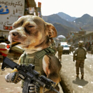 ♿ MLG DOG ♿ - steam id 76561198253920429