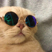 𝚃𝙾𝙿 𝙶 シ