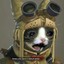 NEKO CAT