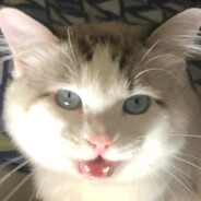 Big Avatar