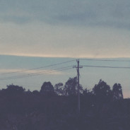 腿没发霉的霉腿