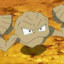 geodude