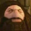 PS1 HAGRID