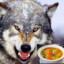 Currywolf