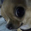 v1radeく: