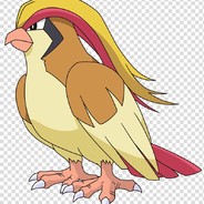 Pidgeotto avatar