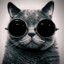 Cat_Baloo