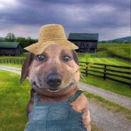 stuffedfarmerkillerdogiloveliver