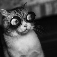 不存在的骑士XF