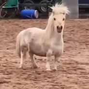 Torušínaヅ