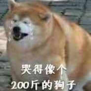 青春黄金鼠鼠不会遇见轮椅pro